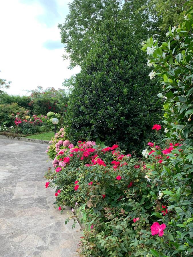 Casa Serenella B&B - Casa Vacanze เพียซโซลา ซุล เบรนตา ภายนอก รูปภาพ