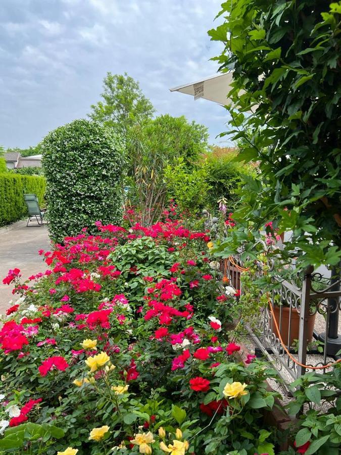Casa Serenella B&B - Casa Vacanze เพียซโซลา ซุล เบรนตา ภายนอก รูปภาพ