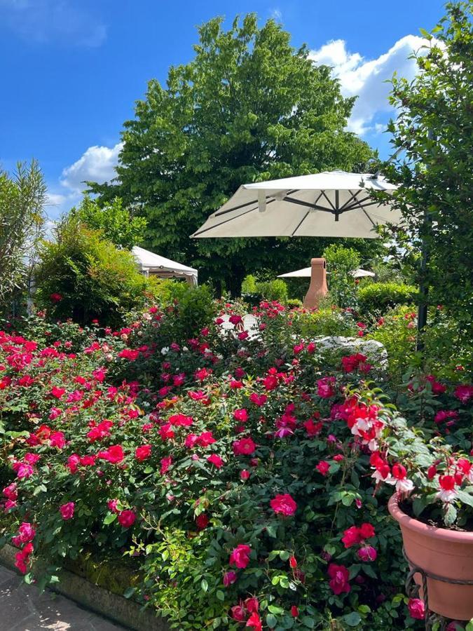 Casa Serenella B&B - Casa Vacanze เพียซโซลา ซุล เบรนตา ภายนอก รูปภาพ
